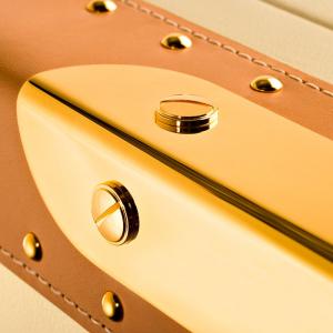 Сейф взломостойкий Dottling Bel-Air