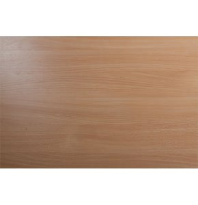 original_500_images_5